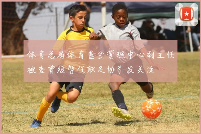 体育总局体育基金管理中心副主任被查曾短暂任职足协引发关注