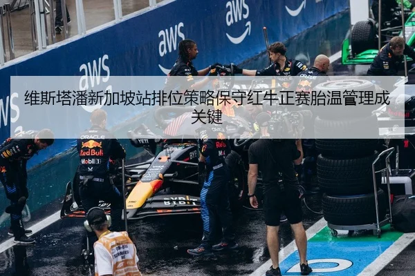 维斯塔潘新加坡站排位策略保守红牛正赛胎温管理成关键